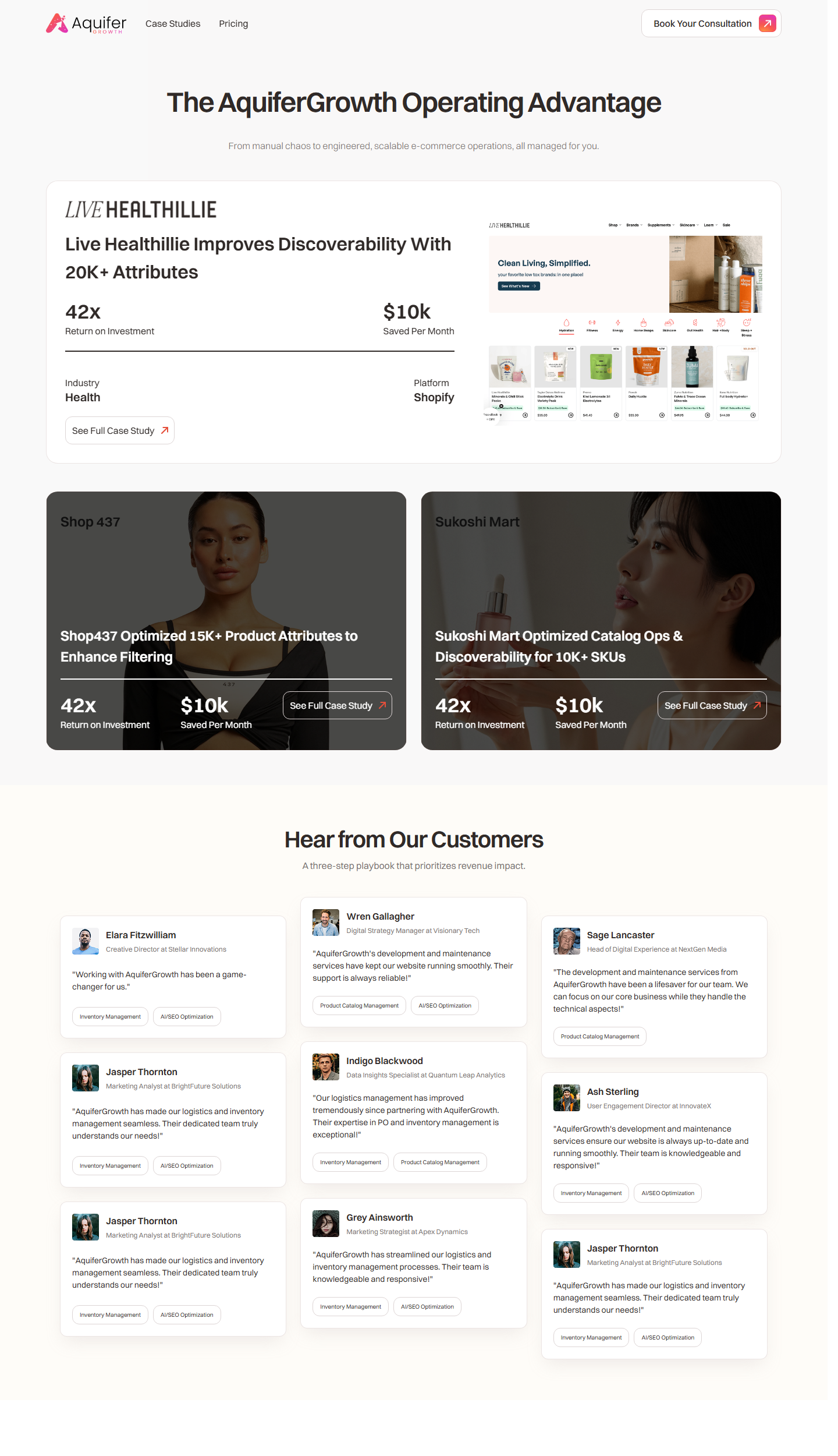 Webflow website screenshot from Aquifer Growth Commerce Operations and Discoverability Website, view 2