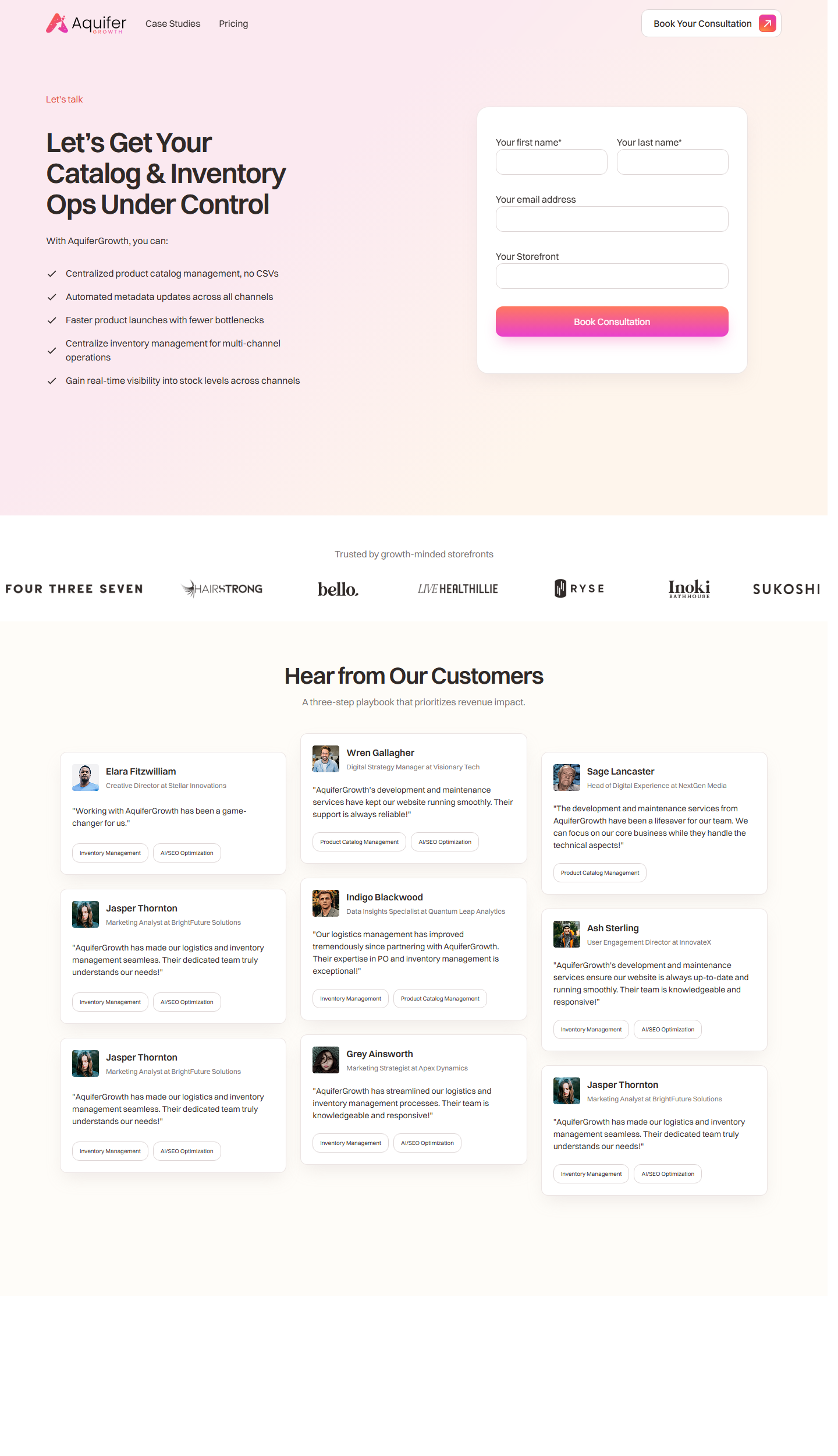 Webflow website screenshot from Aquifer Growth Commerce Operations and Discoverability Website, view 3